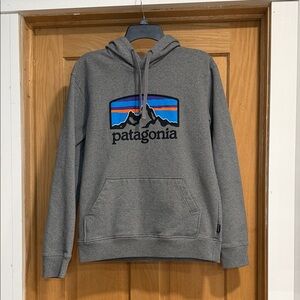 Patagonia Gray Hoodie with Vibrant Mountain Graphic